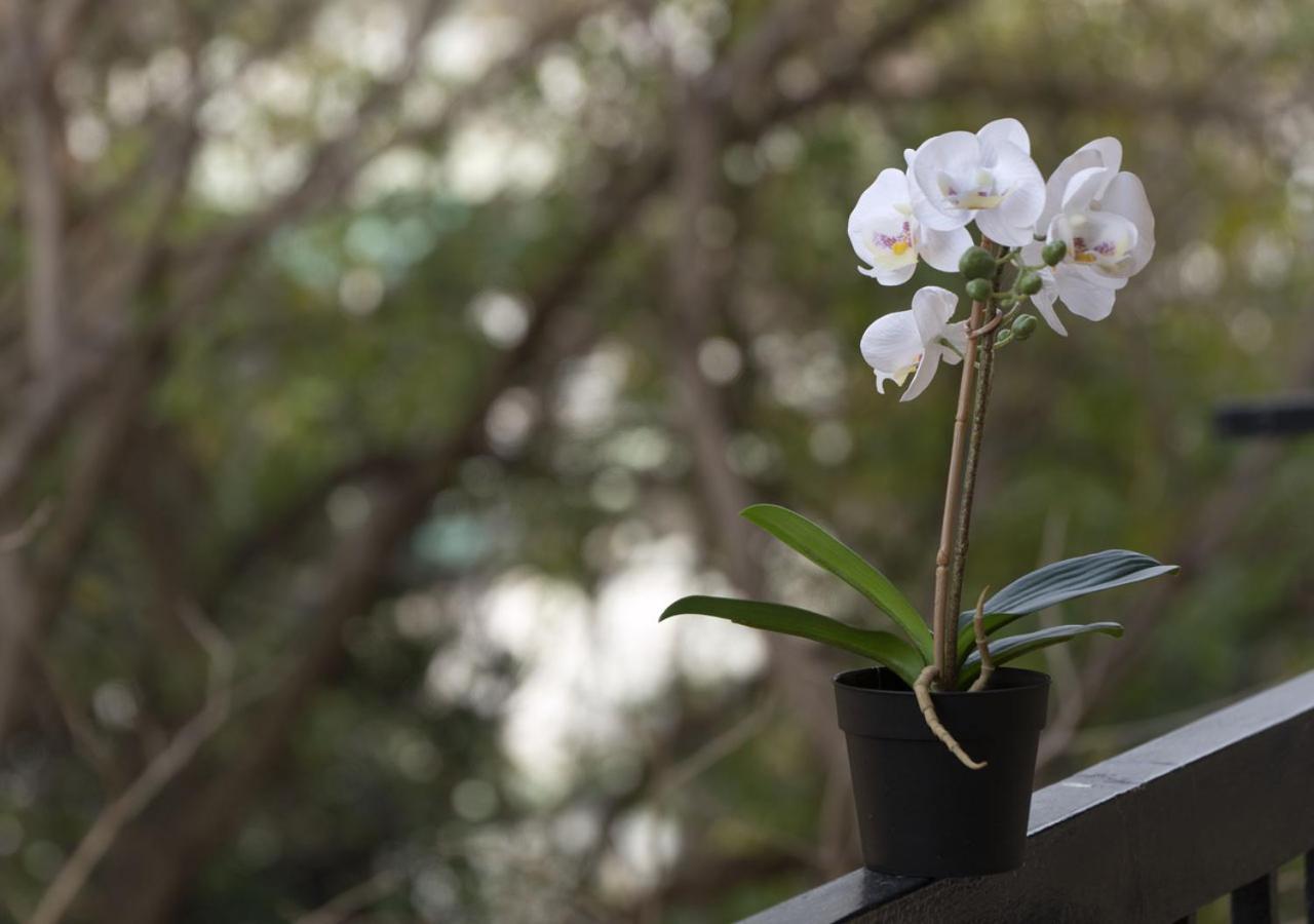 Houseloft Harmony Gardens Apartment Tesalonika Bagian luar foto